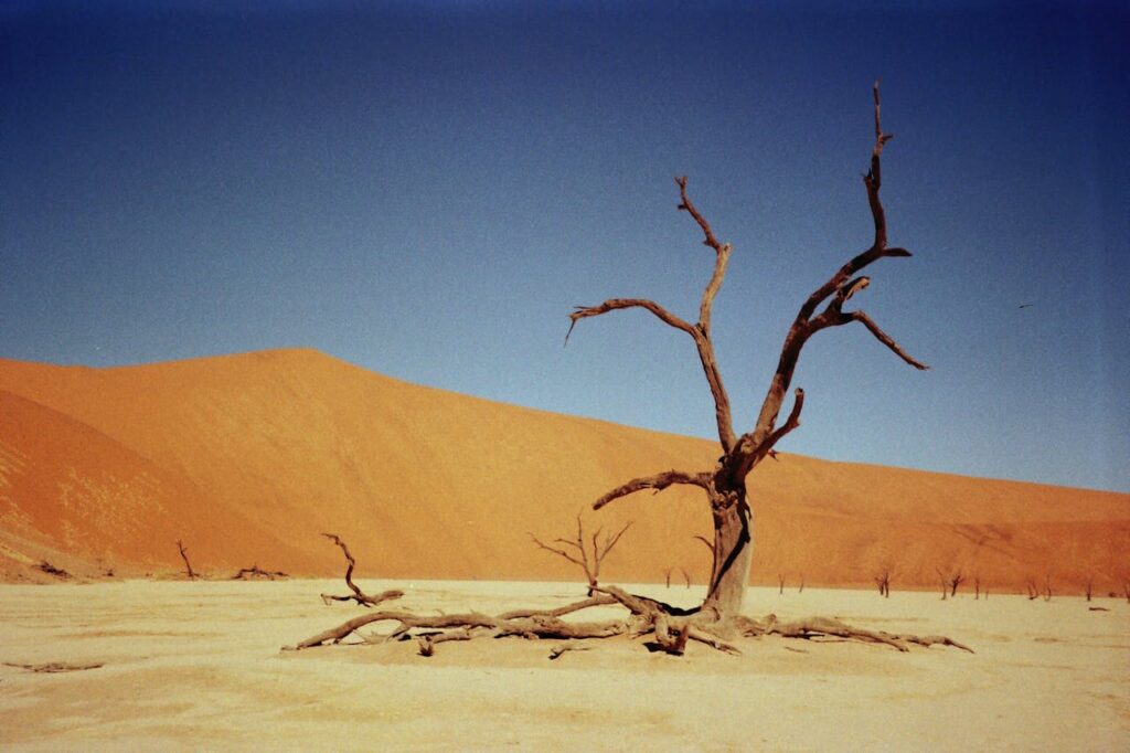 Deserto do Namibe: um dos cenários mais surreais do planeta